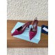 Prada Pumps and ballerinas