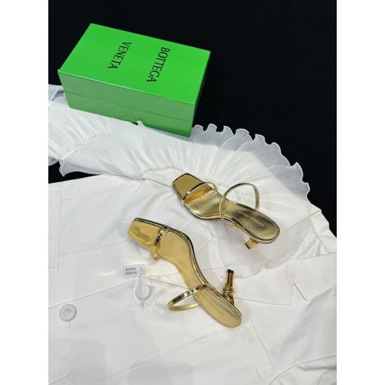 Bottega Veneta Pumps & Heels