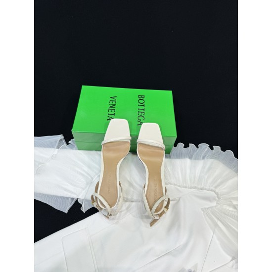 Bottega Veneta Pumps & Heels