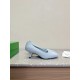 Bottega Veneta Pumps & Heels