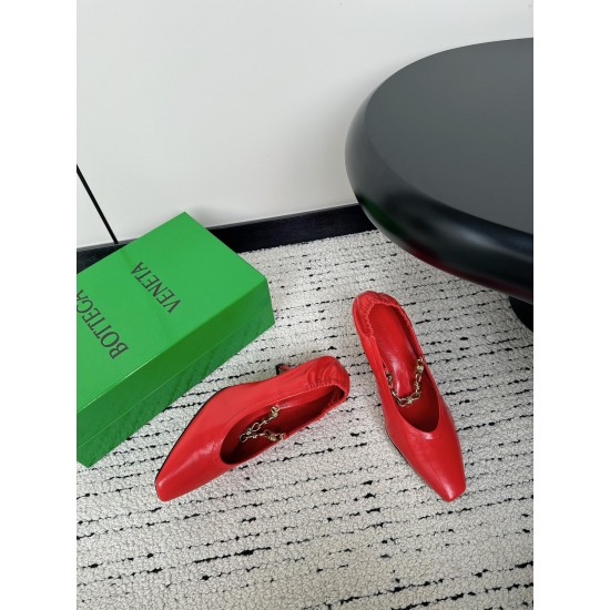Bottega Veneta Pumps & Heels