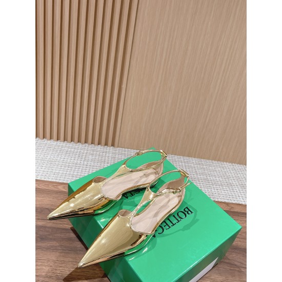 Bottega Veneta Pumps & Heels