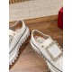 Roger Vivier