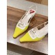 Roger Vivier
