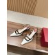 Roger Vivier