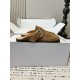 Maison Margiela Tabi Shoes