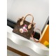 LV OnTheGo PM