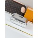 LV Pouch