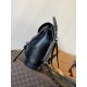 LV Backpack