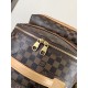 LV Backpack