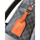 LV Backpack