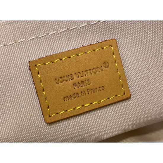 LV BAGS