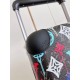 LV travel suitcase