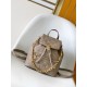 LV Backpack