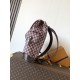LV Backpack