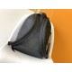 LV Backpack