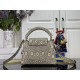 LV Capucines