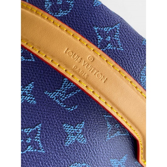 LV Backpack