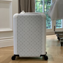 LV travel suitcase
