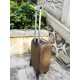LV travel suitcase