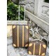 LV travel suitcase