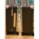 LV travel suitcase