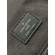 LV Backpack