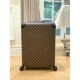 LV travel suitcase