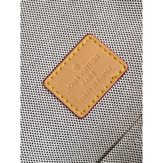 LV Backpack