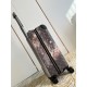 LV travel suitcase