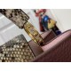 LV Capucines