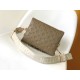 LV Coussin