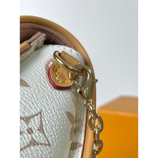 LV Pochette