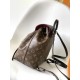 LV Backpack