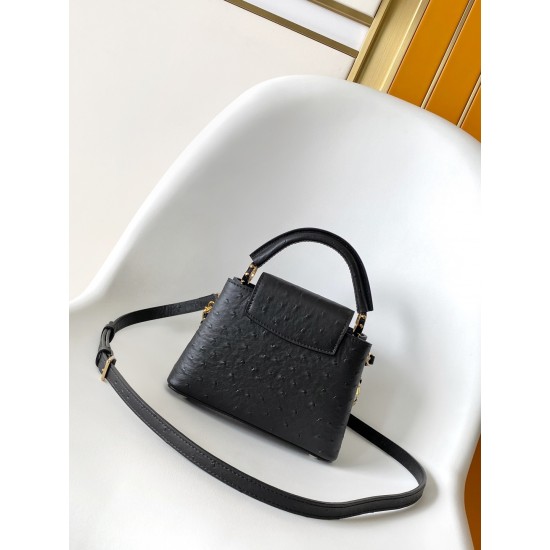 LV Capucines