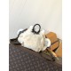 LV Backpack