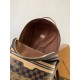 LV Backpack