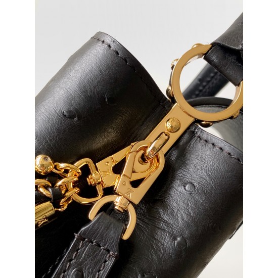 LV Capucines