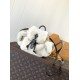 LV Backpack