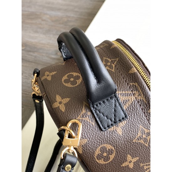 LV Backpack