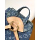LV Backpack