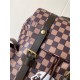 LV Backpack