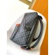 LV Backpack