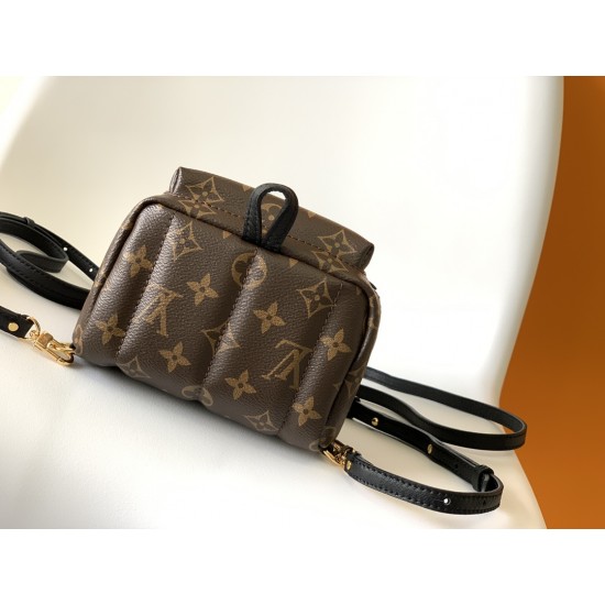 LV Backpack
