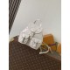 LV Backpack