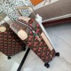 LV travel suitcase