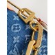 LV Coussin