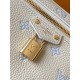 LV Pouch