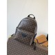 LV Backpack