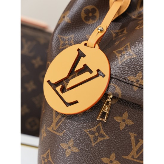 LV Backpack